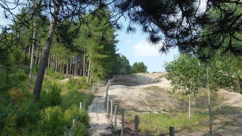 Hamac - Vue Mer - 100M Plage Berck Экстерьер фото