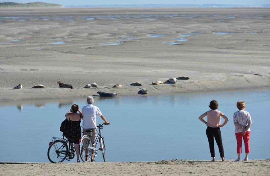 Hamac - Vue Mer - 100M Plage Berck Экстерьер фото